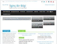 Tablet Screenshot of ilgincbirbilgi.com